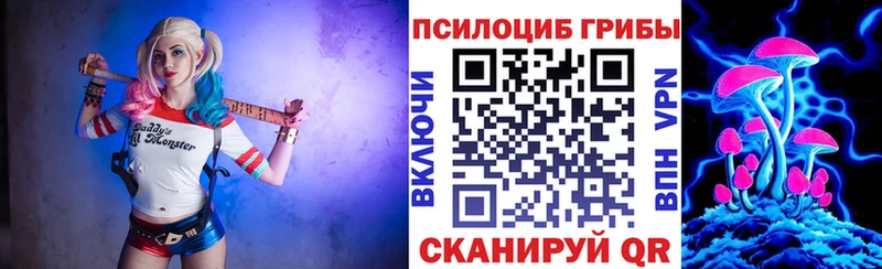 omg зеркало  Бабушкин  darknet телеграм  Галлюциногенные грибы GOLDEN TEACHER 